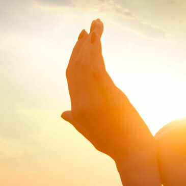 The difference between short, medium and long-wave infrared heat